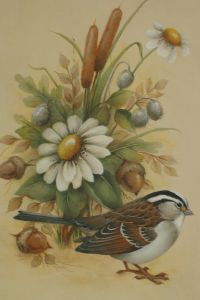 White-Throated Sparrow